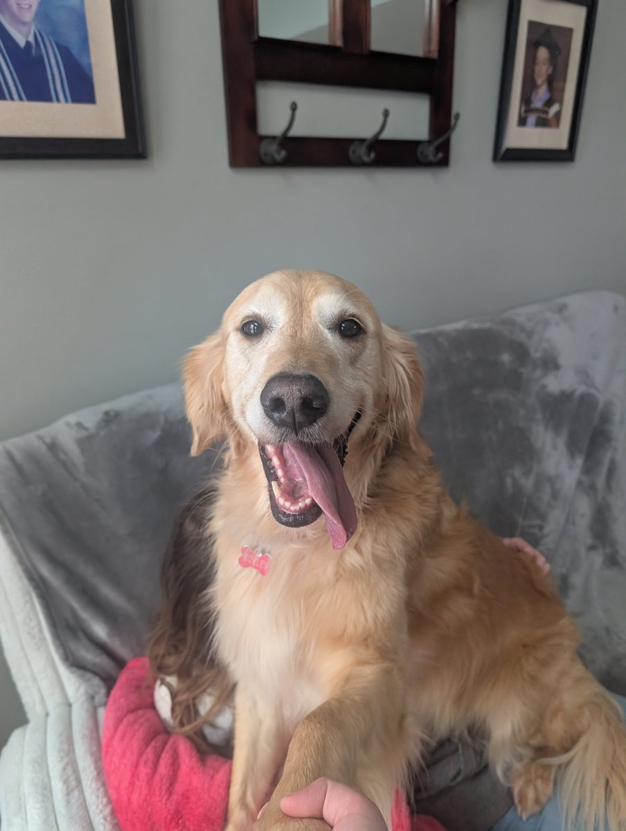 slugbread 💜 tweet media