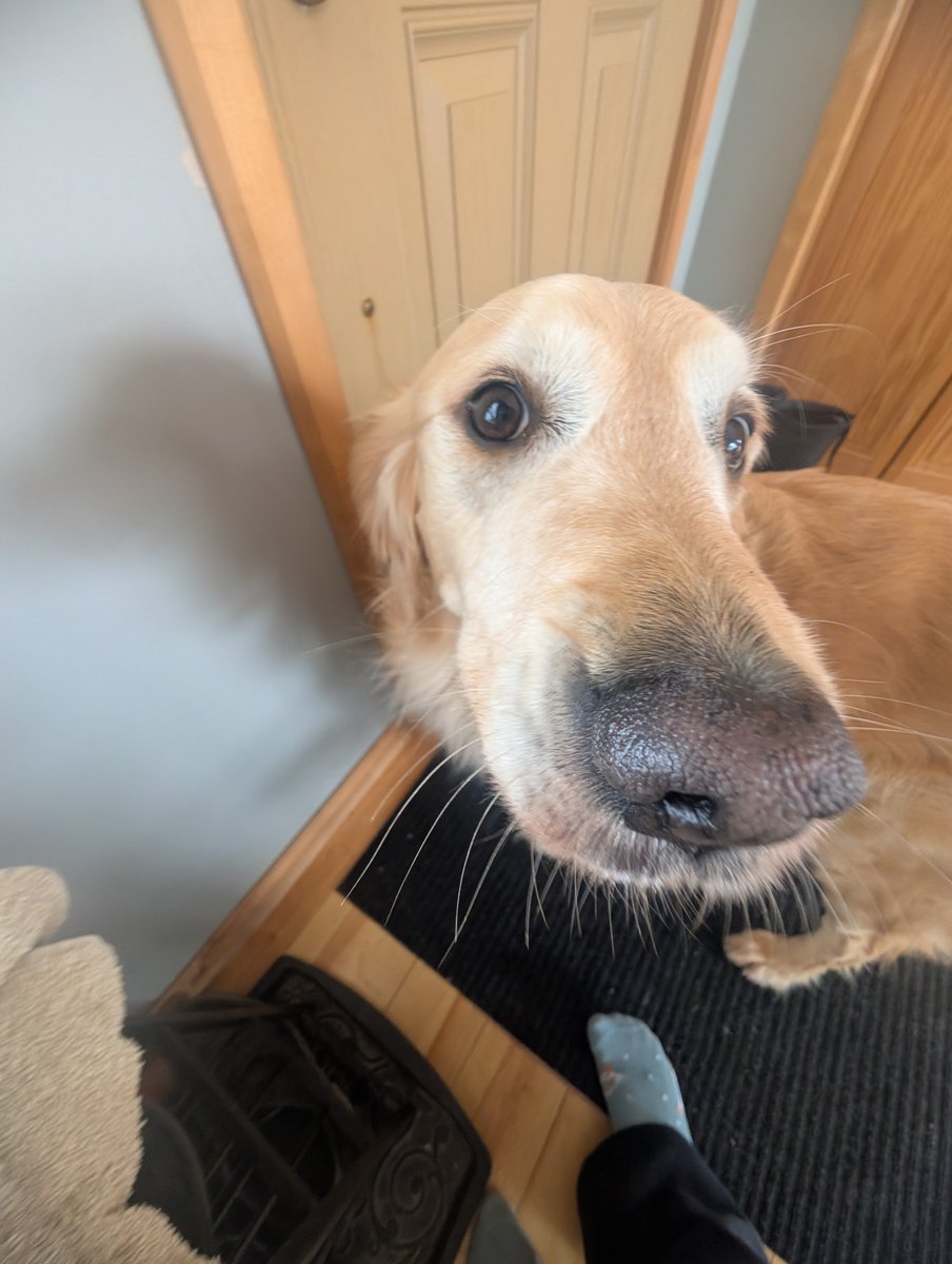 slugbread 💜 tweet media