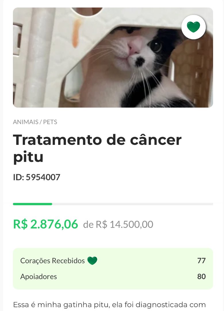 caju com queijo tweet media