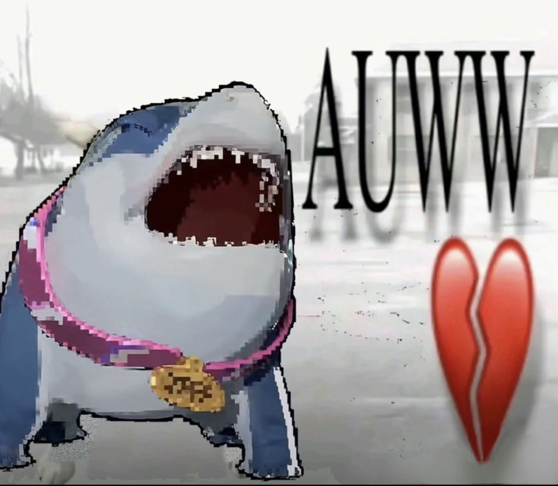 NTMR K0RTAL tweet media