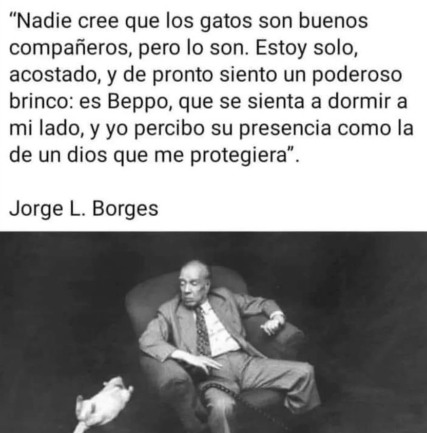 ElArteDeVivir__'s tweet photo. https://t.co/DBdYpfavNX