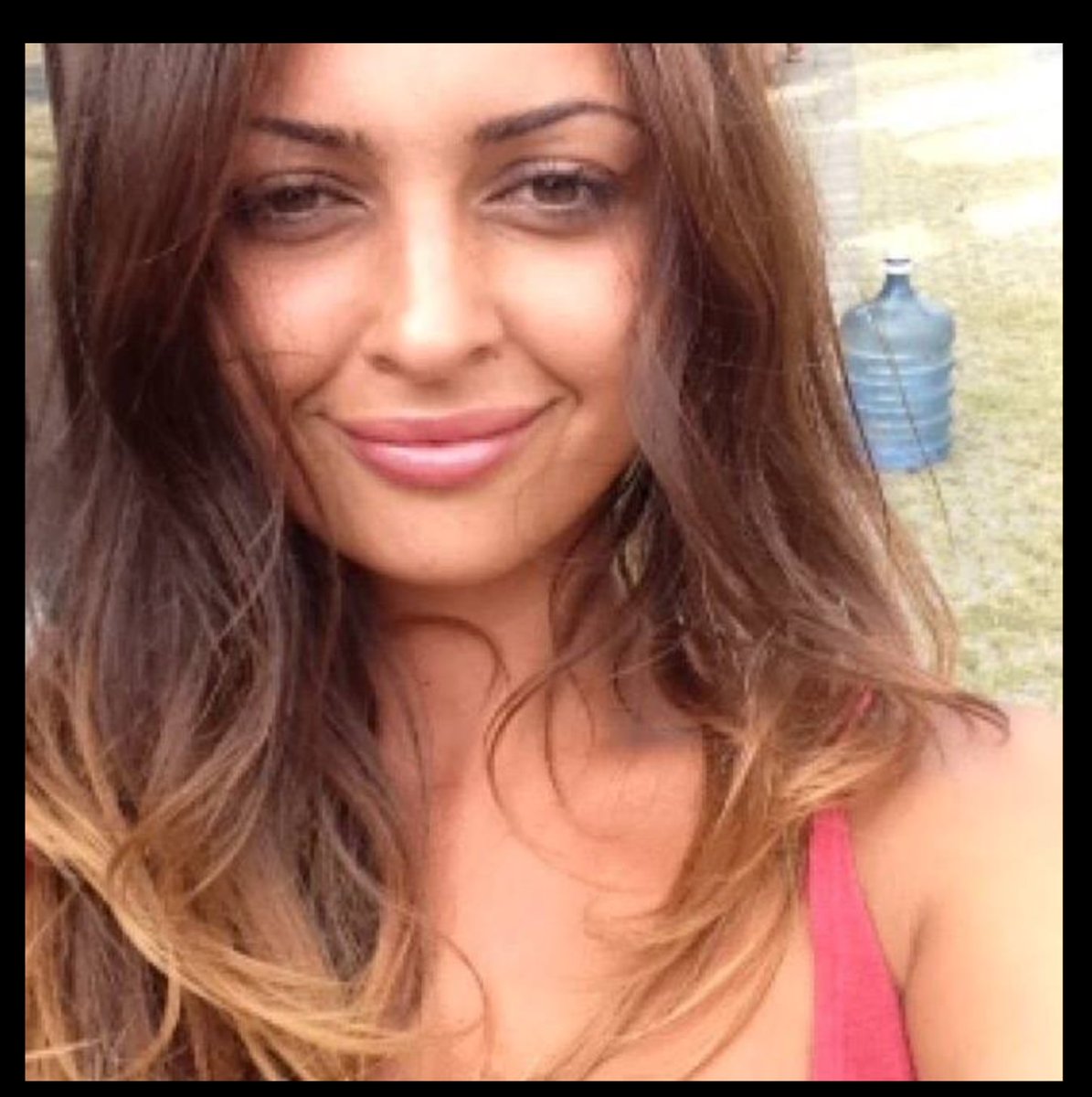 Daniel Mael tweet media