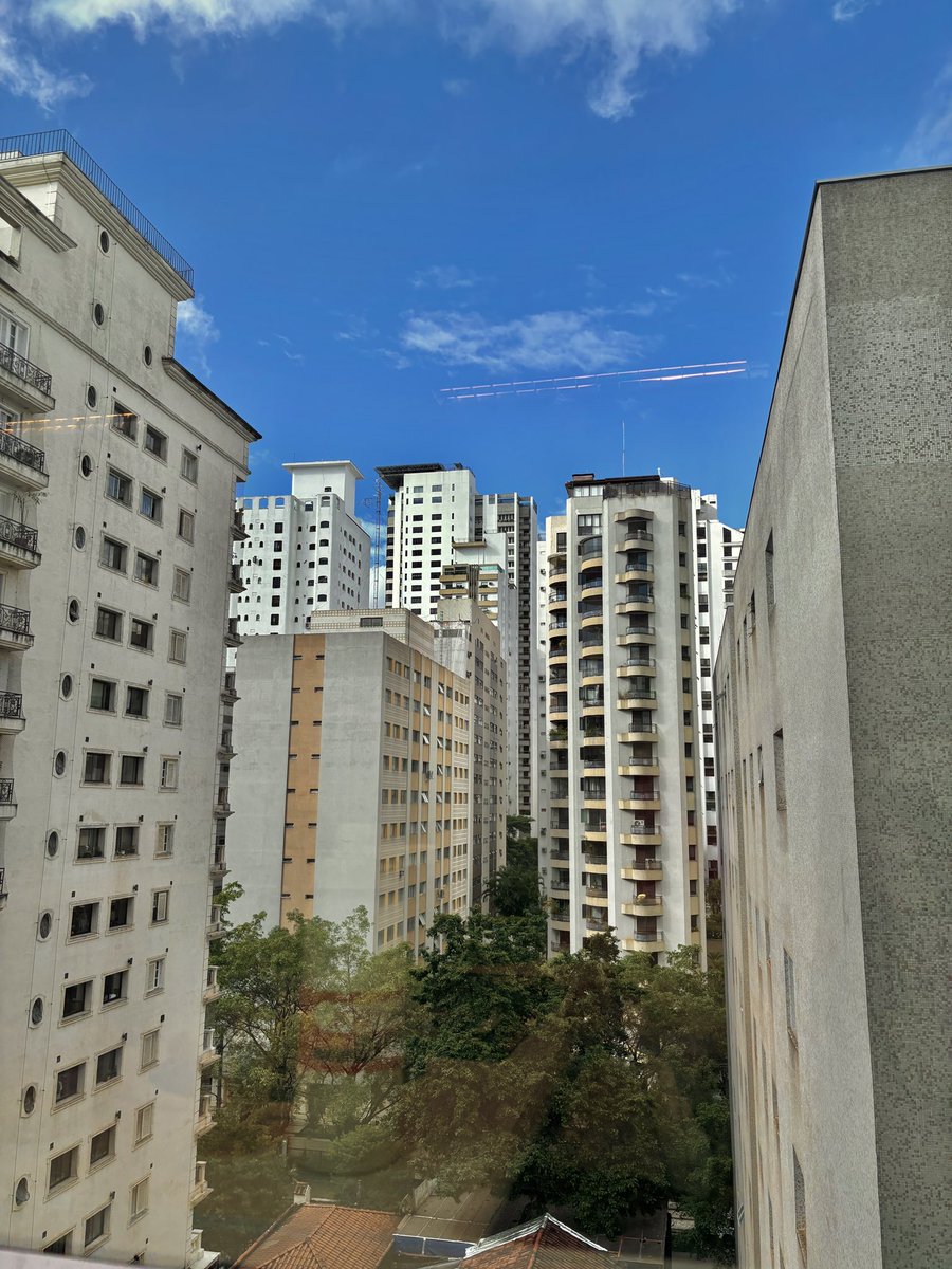 cerseisunrae's tweet photo. 🚨🚨🚨🚨 primeiro sol + céu azul na cidade de são paulo há mais de 20 DIAS! https://t.co/hUiXdov8f5