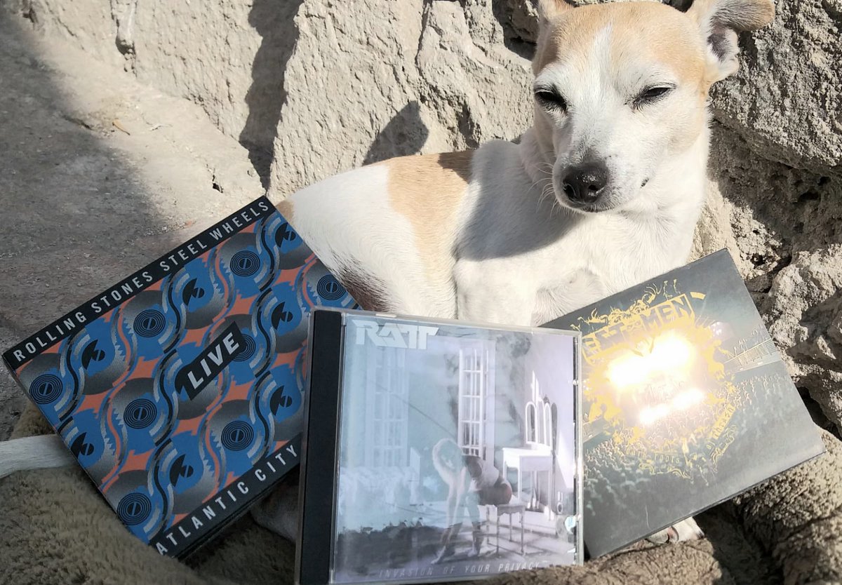 Excelente puente pa todos <a href="/ValeVarillas/">Valentín Varillas</a> ... Menos para los que votaron en contra😝🤭😅