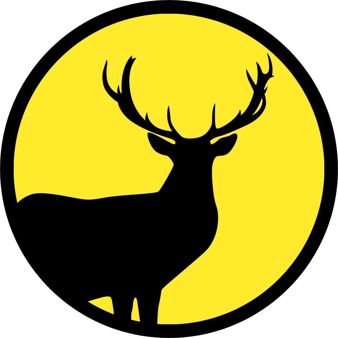 PawelDSM tweet media