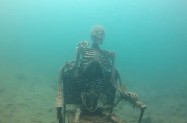 ITheWraith tweet media