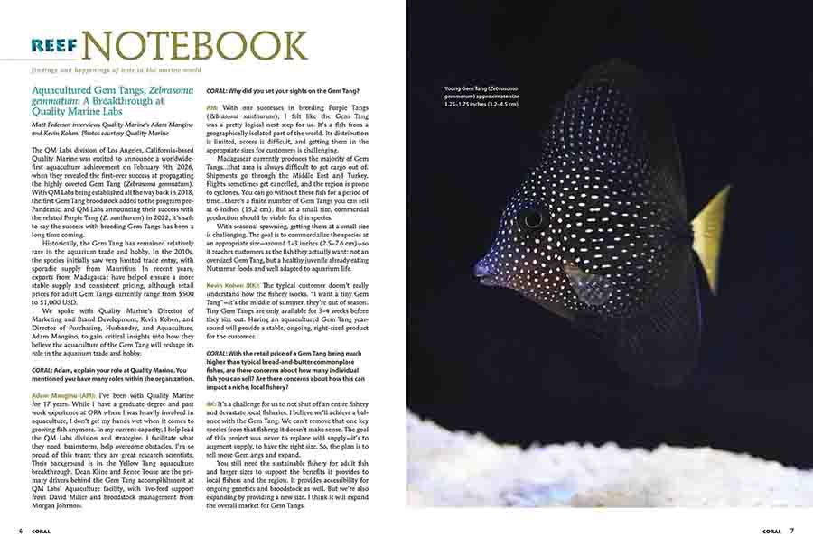 CORALmagazine's tweet photo. Discover what's inside #CORALmagazine with an exclusive excerpt. We interview Adam Mangino and Kevin Kohen of #QualityMarine to learn more about the #QMlabs breakthrough in Gem Tang #aquaculture and the #aquariumtrade implications.
https://t.co/zp1hfgcQbt https://t.co/CASl4QvOUm