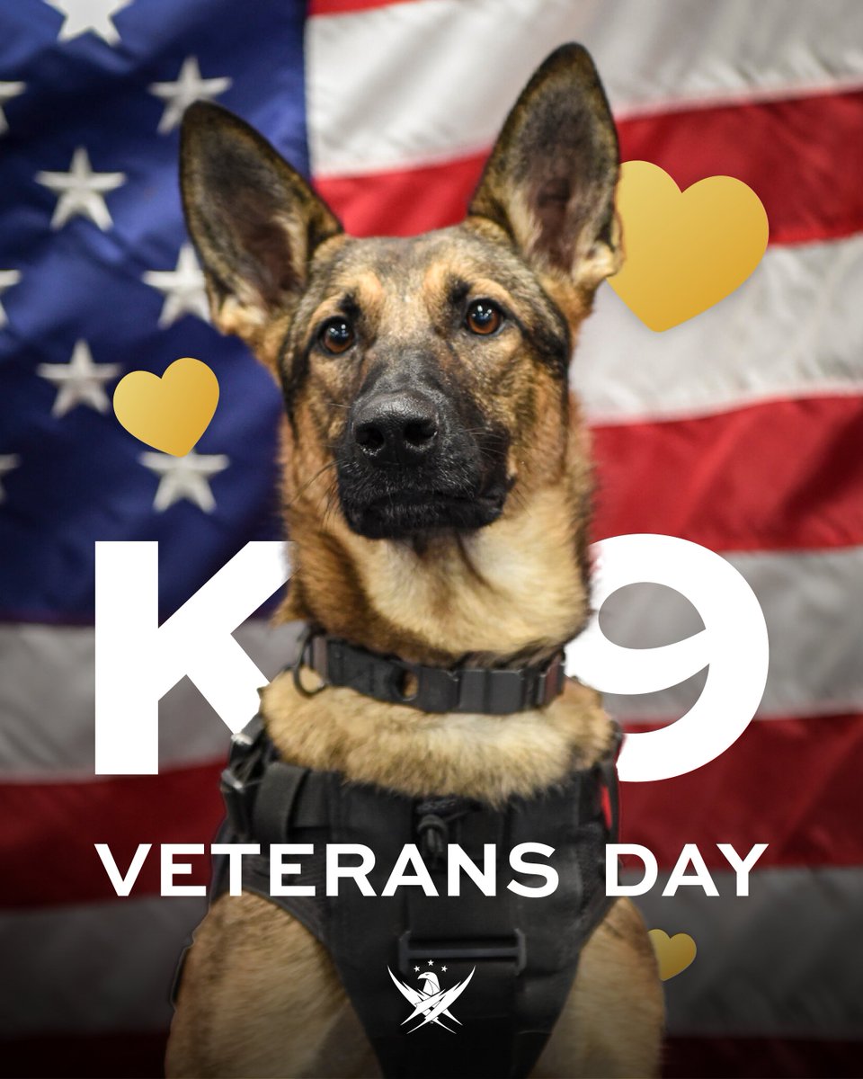 GarySiniseFoundation tweet media