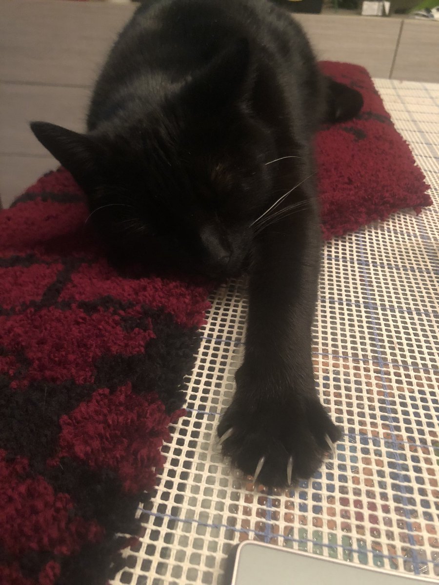 Ficry13's tweet photo. Unlike Mr Gremlin, I’ve been a bit more productive today 😝😍 https://t.co/z4AV5OAAji