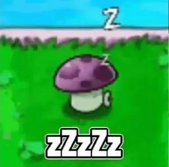 SuperPeruMan tweet media