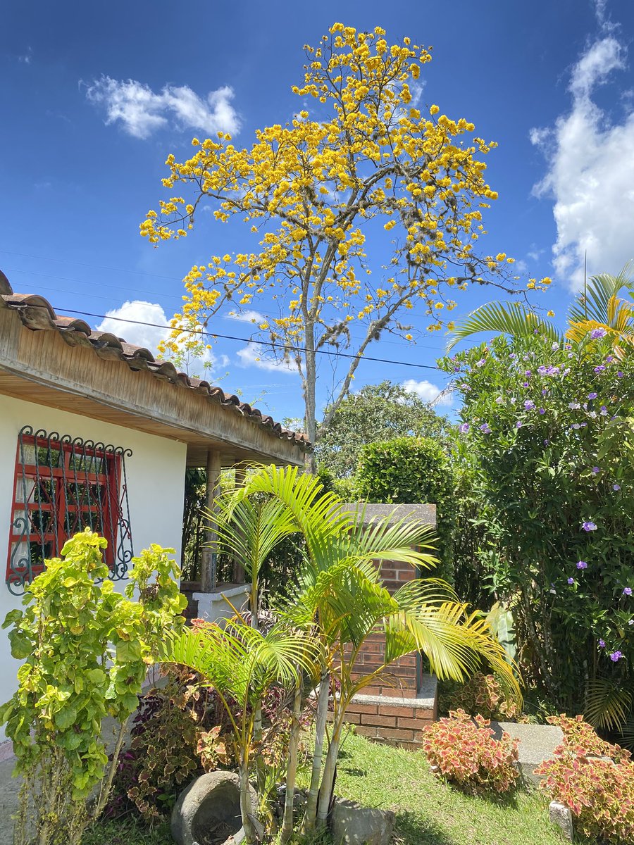 PARAISO SECRETO SW tweet media