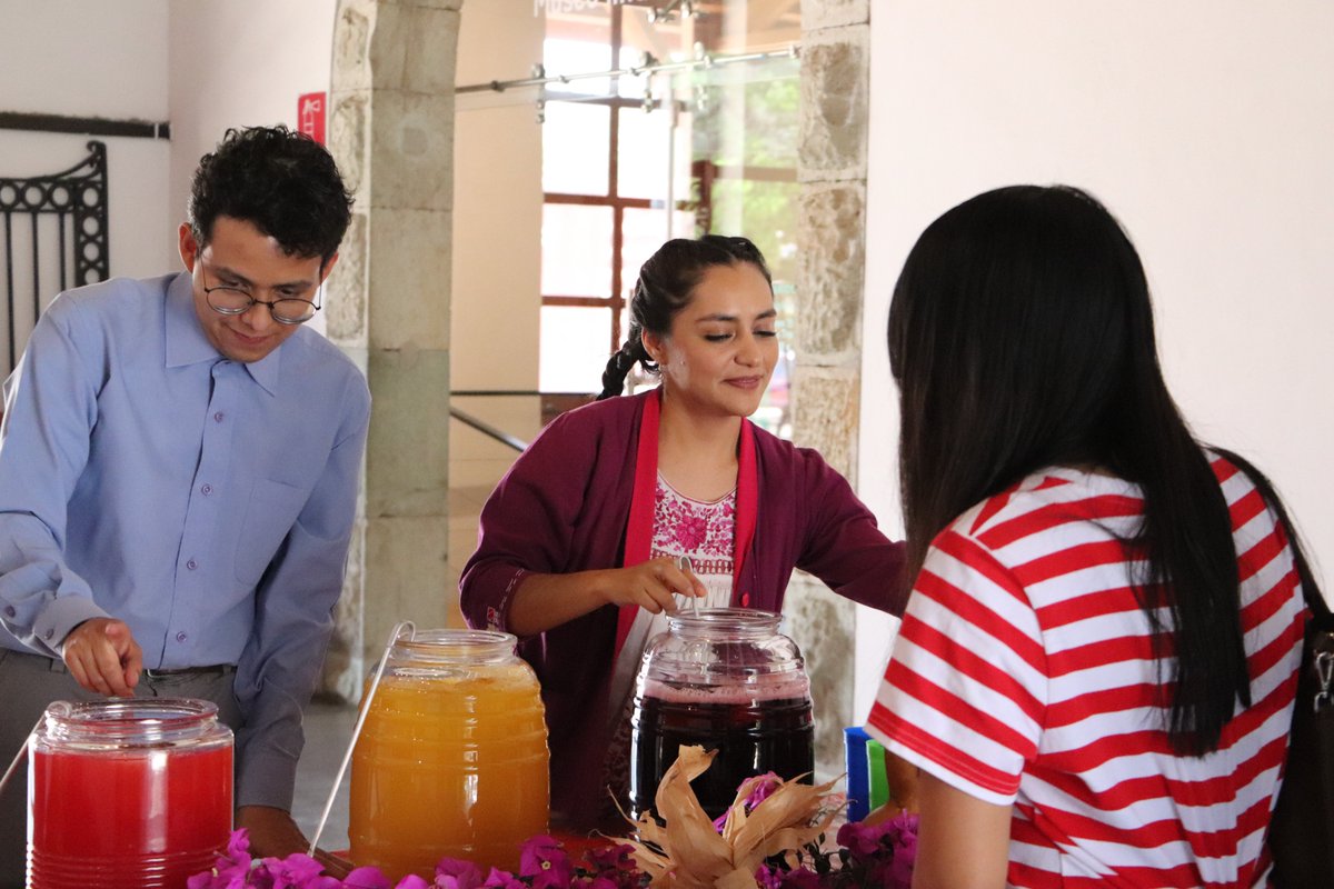 Museo Infantil de Oaxaca, MIO tweet media