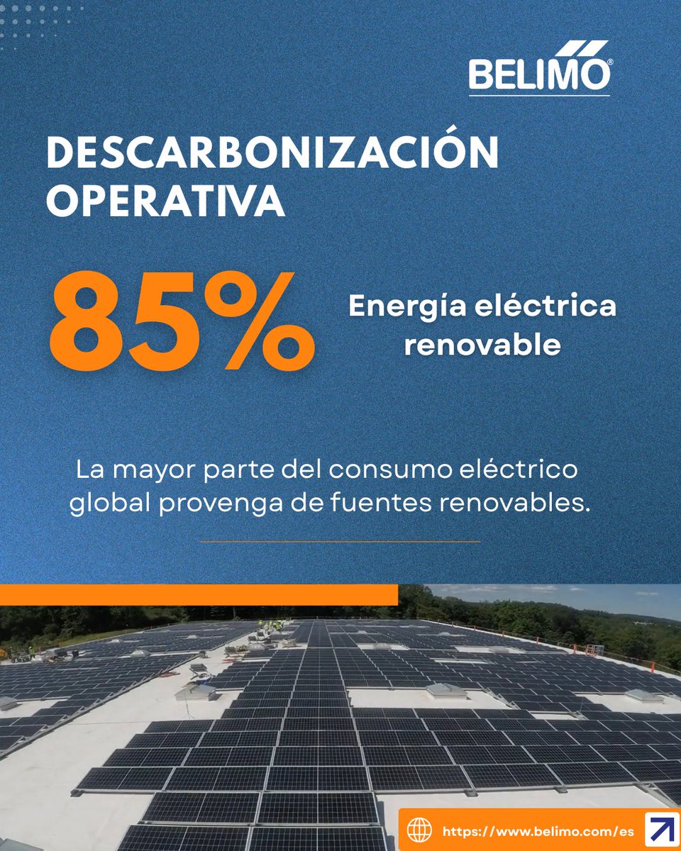 Net.Zero tweet media