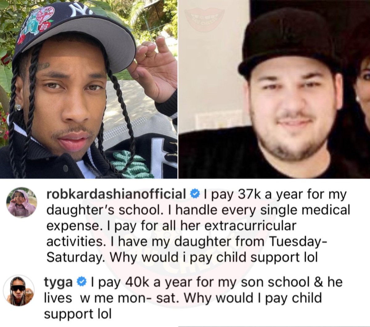 Wild Videos tweet media