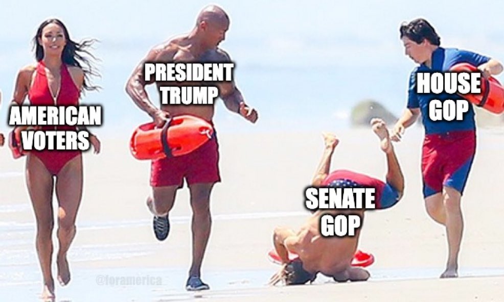 Anna Paulina Luna tweet media