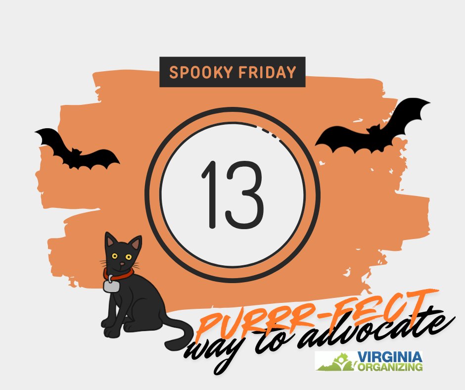 Newport News Virginia Organizing tweet media