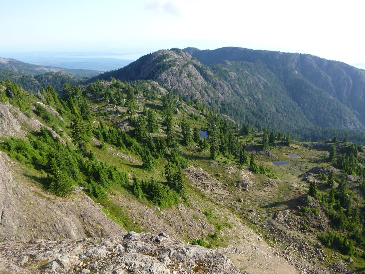 sedgeland empire tweet media