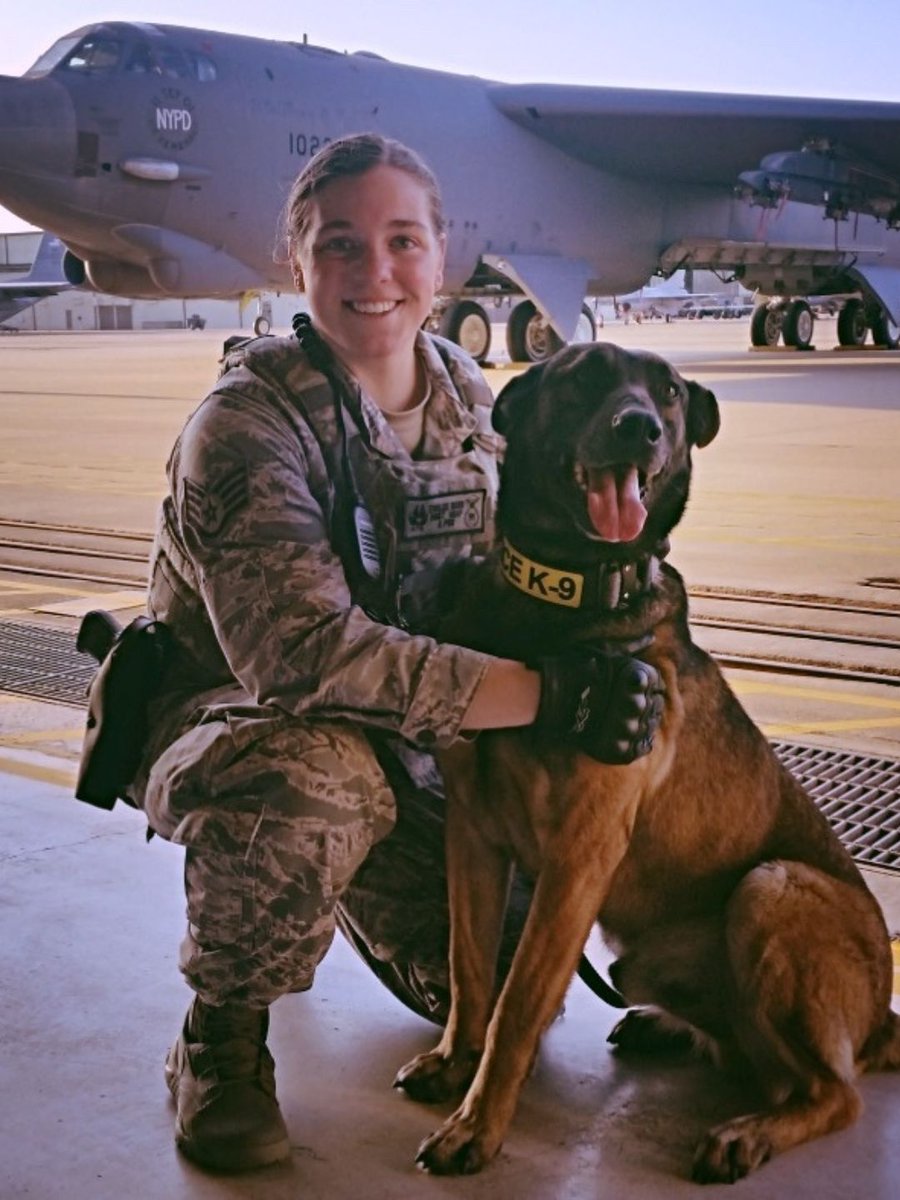 Veterans Bridge Home tweet media