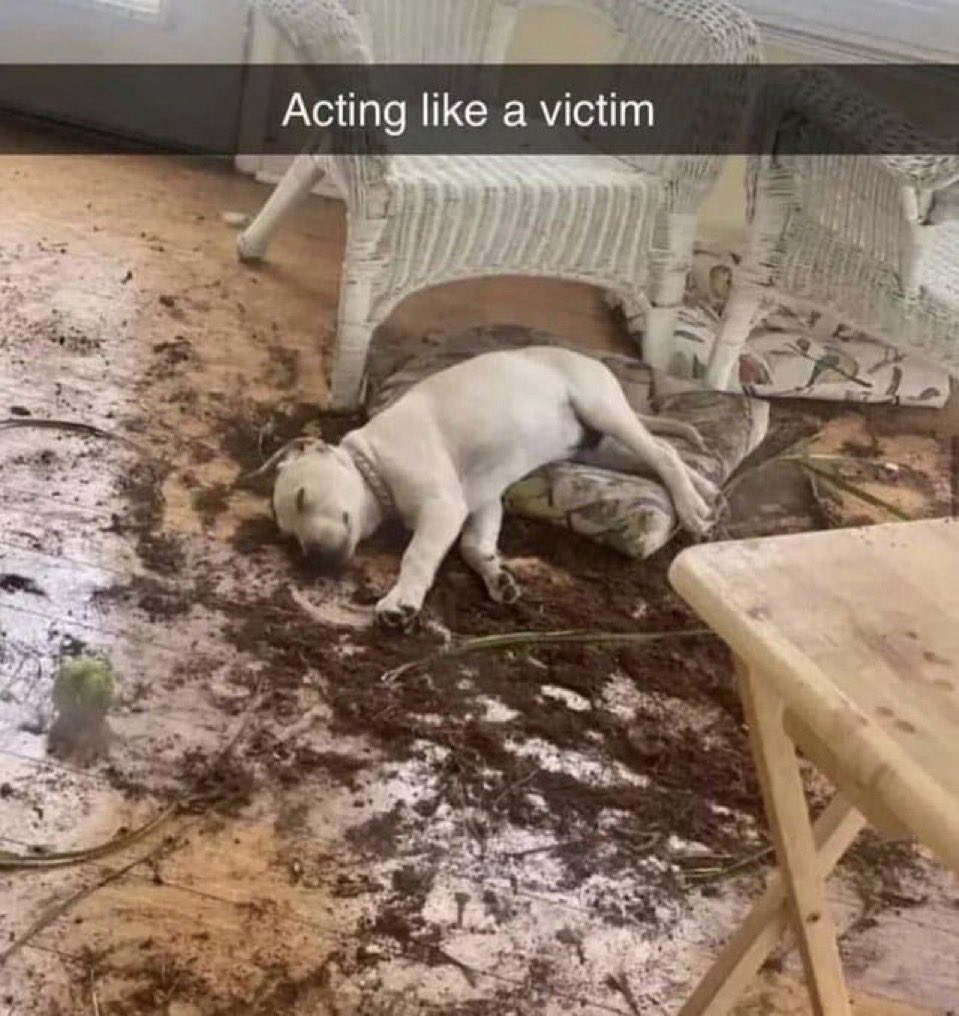 SALEM ☆ !! tweet media