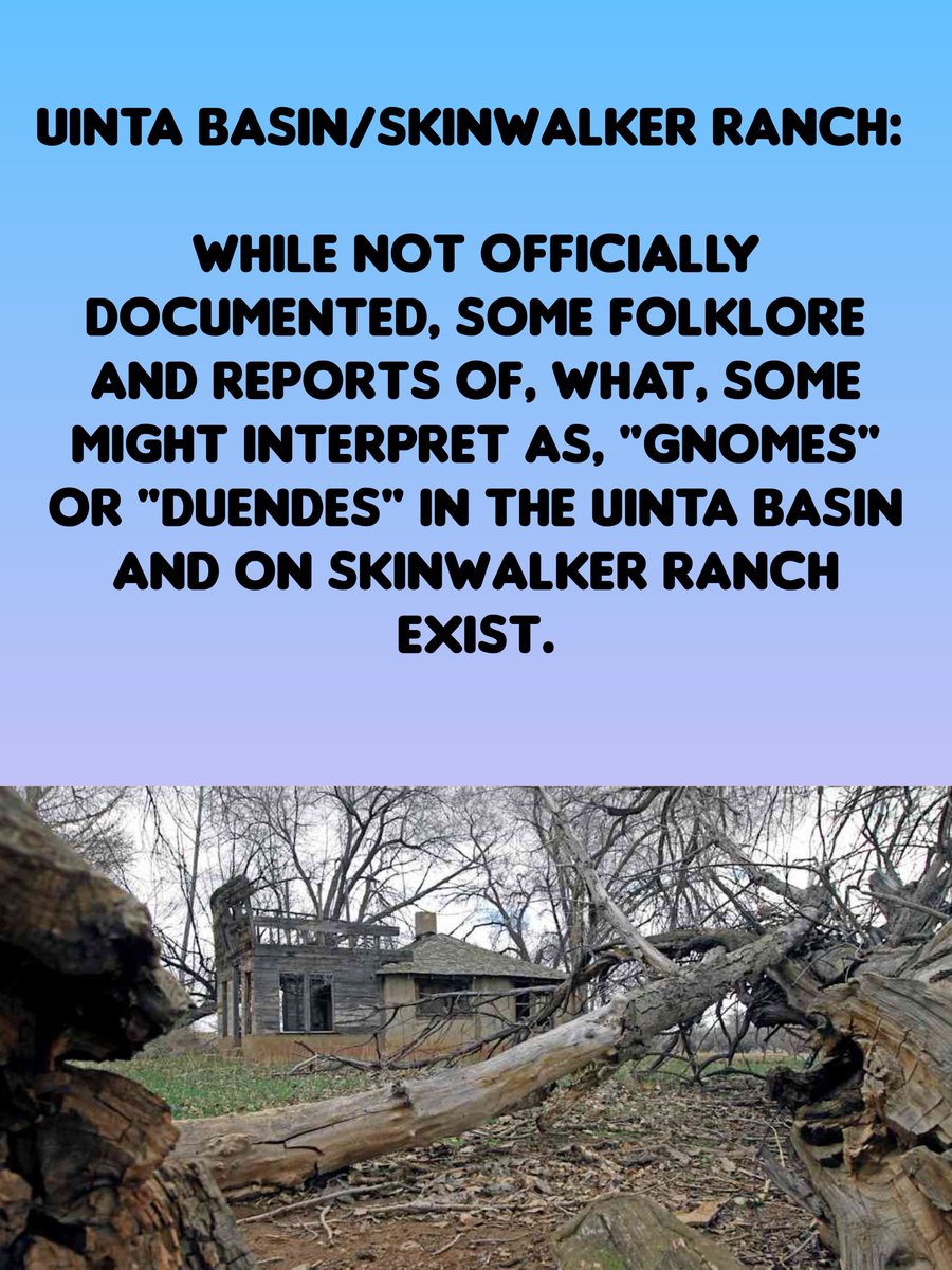 Cryptids And The Unknown tweet media