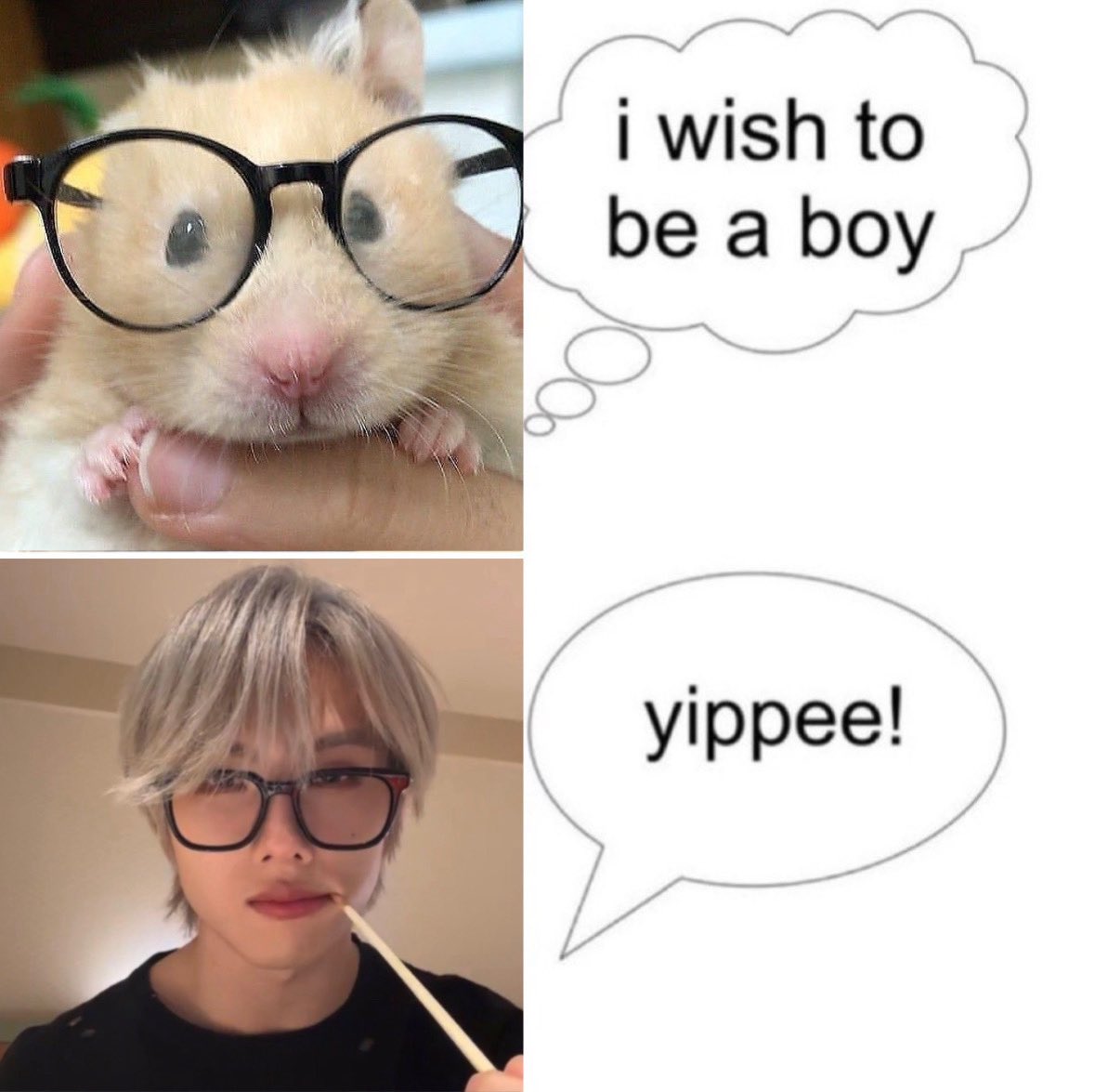 w̸ jihyuckism, PHD 🎱 tweet media