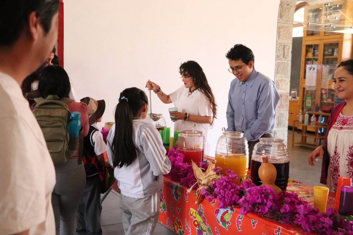Museo Infantil de Oaxaca, MIO tweet media