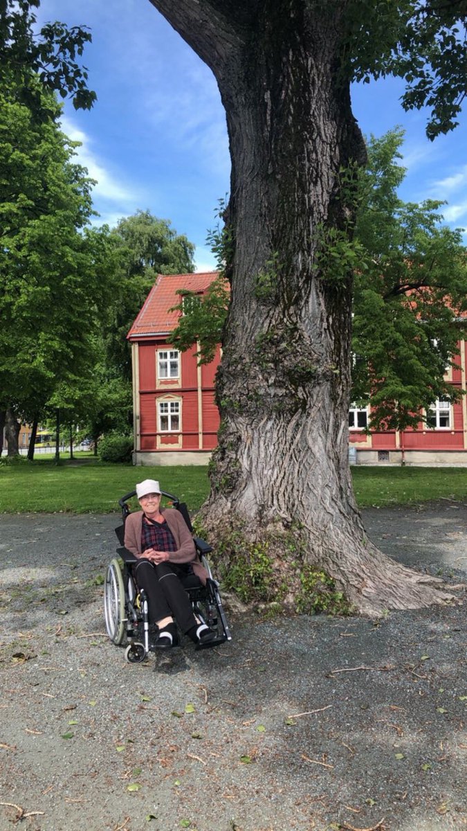 Emil Almås tweet media