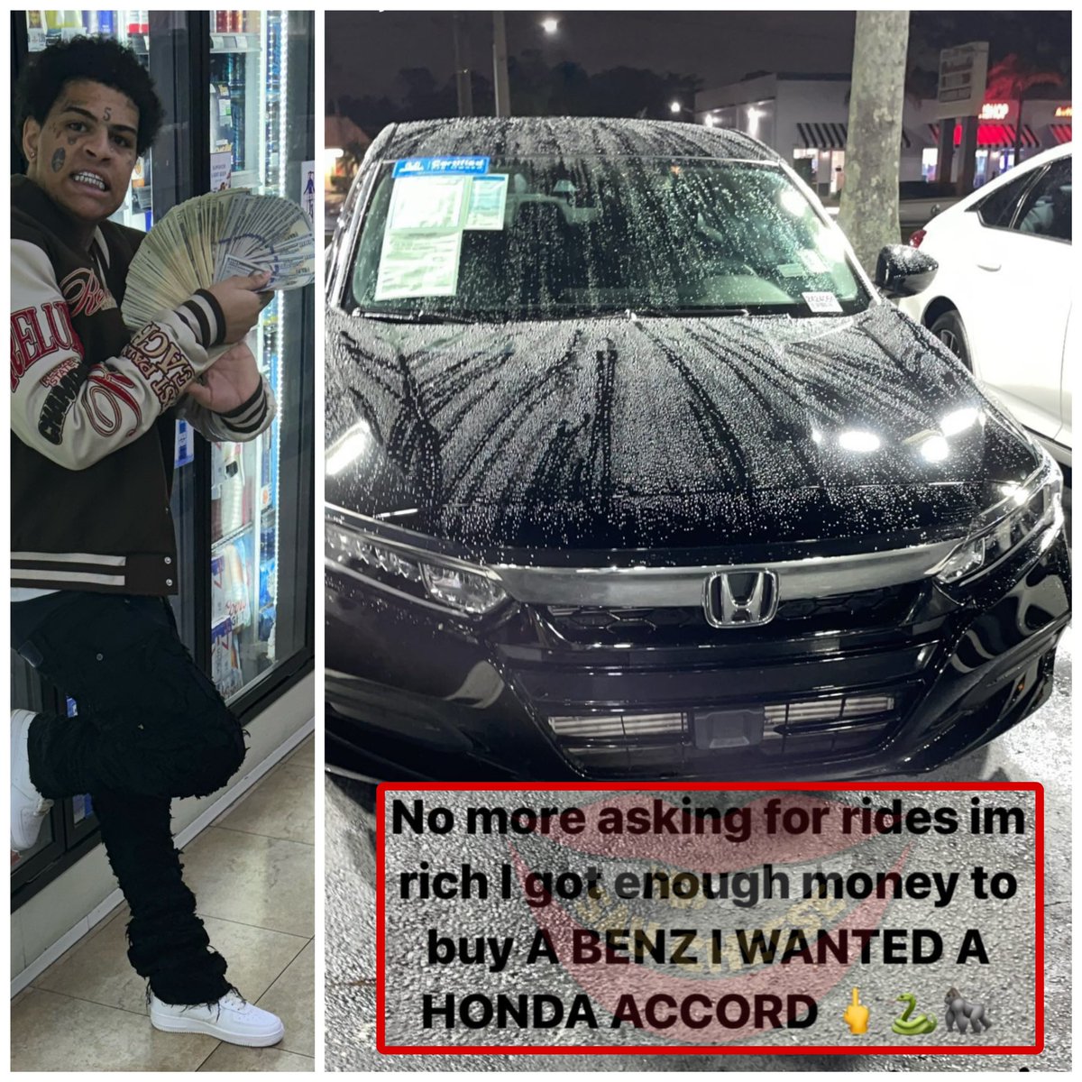 Wild Videos tweet media