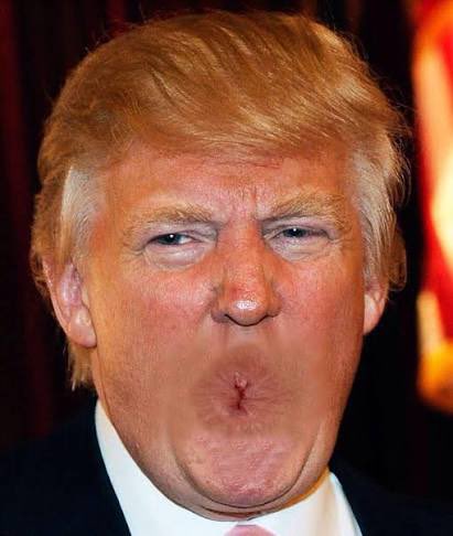 AllyAlly 🇦🇺🦘 tweet media