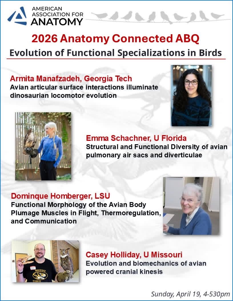 Casey Holliday tweet media