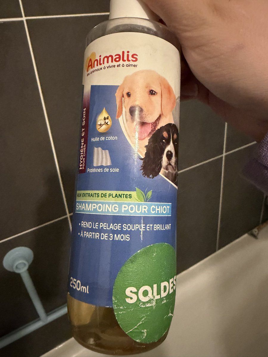 Epitomax 💊 🐍 tweet media