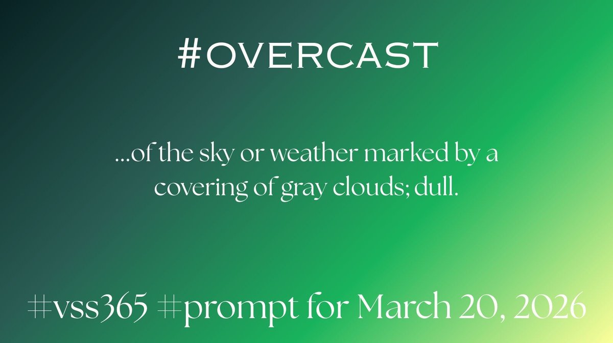 Prof Fox 🦊✨🖤 - #vss365 Host March 16 - 31 tweet media