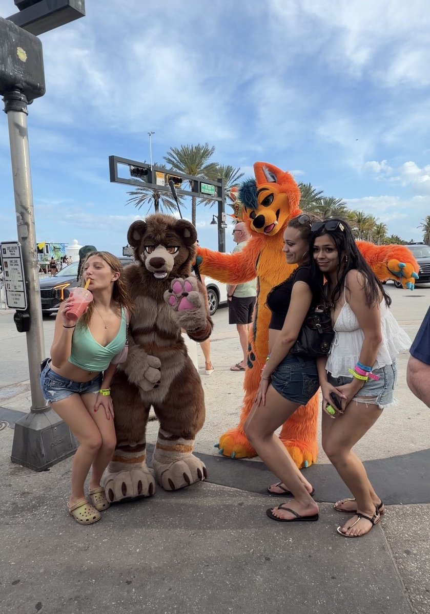 yapperbear tweet media