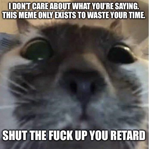 Rat Dude tweet media