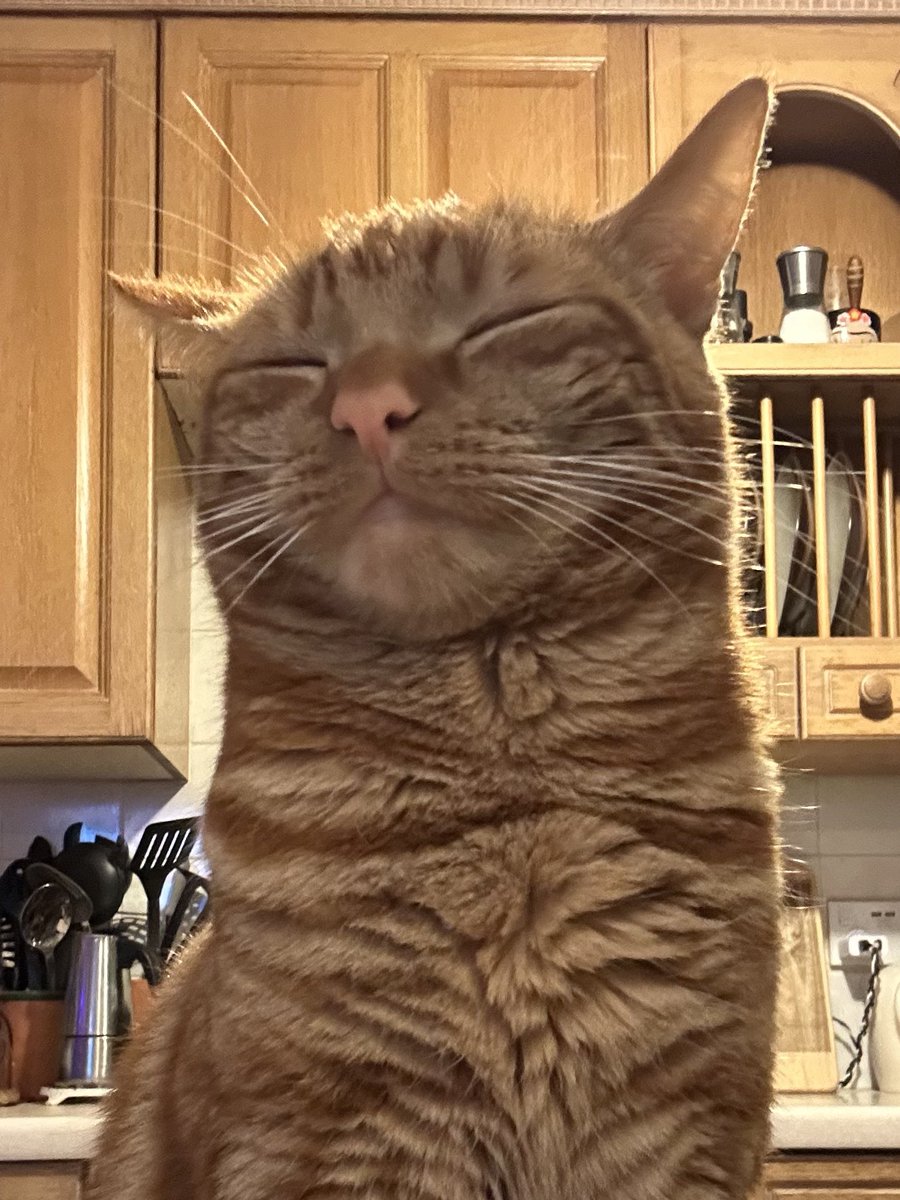 D.V. Catt tweet media