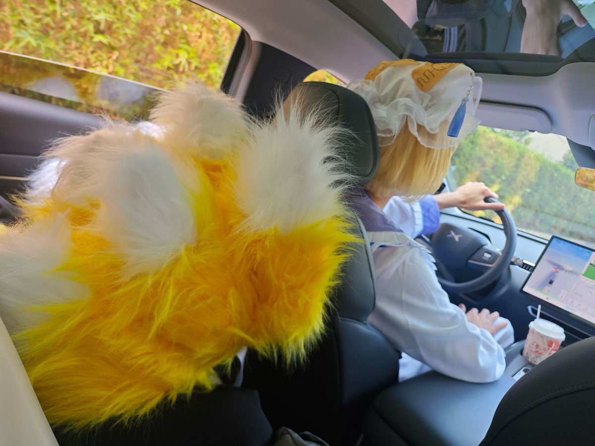 kirailiss tweet media