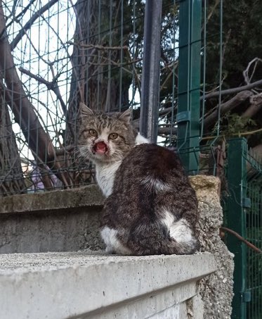 holly flax tweet media