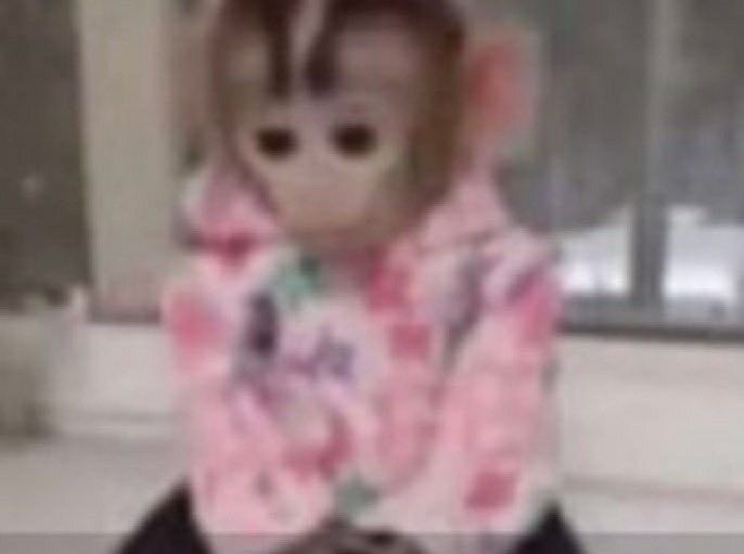 mimi (@wiixqa) on Twitter photo 