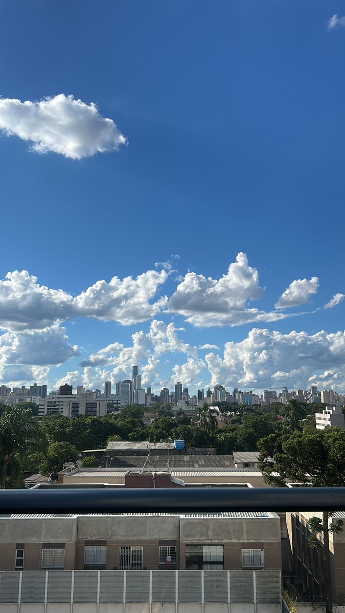 dominicio da original 600🇧🇷 tweet media