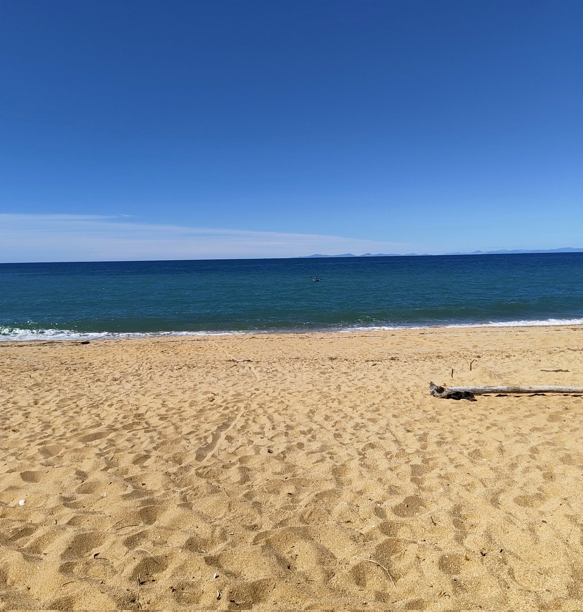 Food4Dogs :: Trails! | TalesOf! tweet media