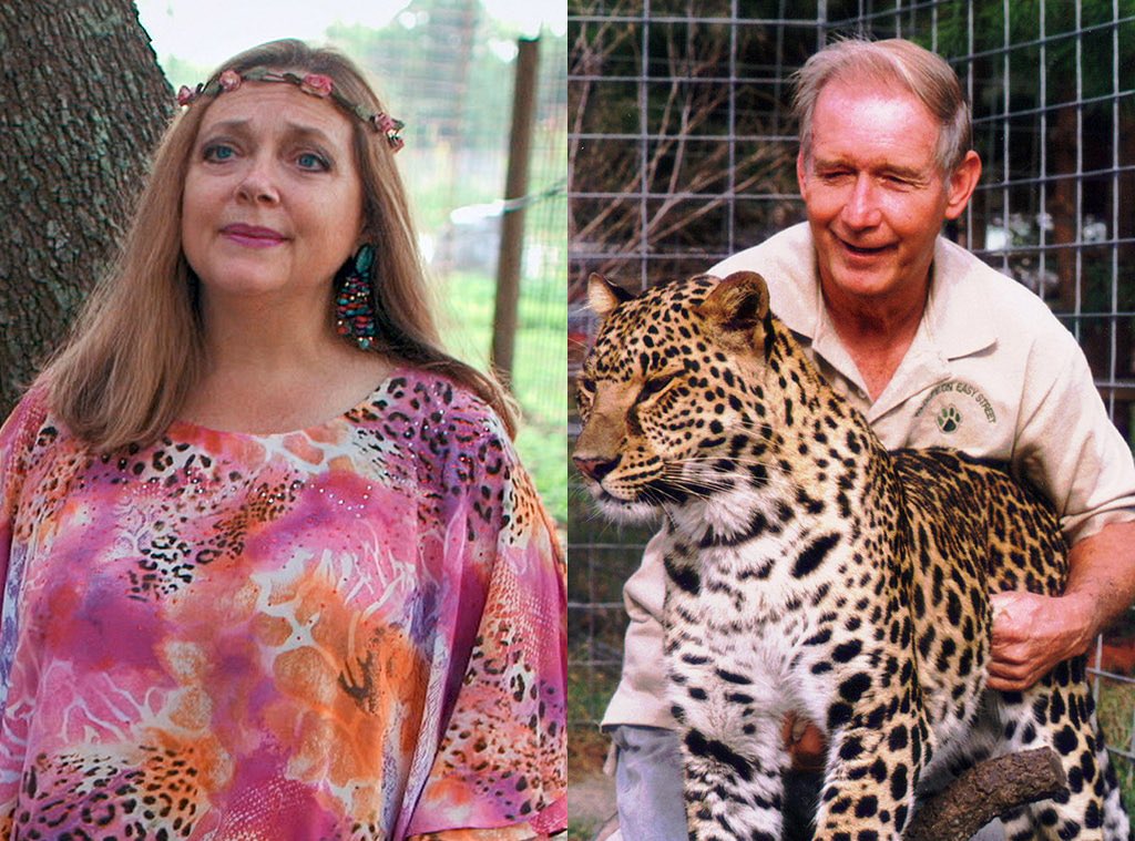 Wild Videos tweet media