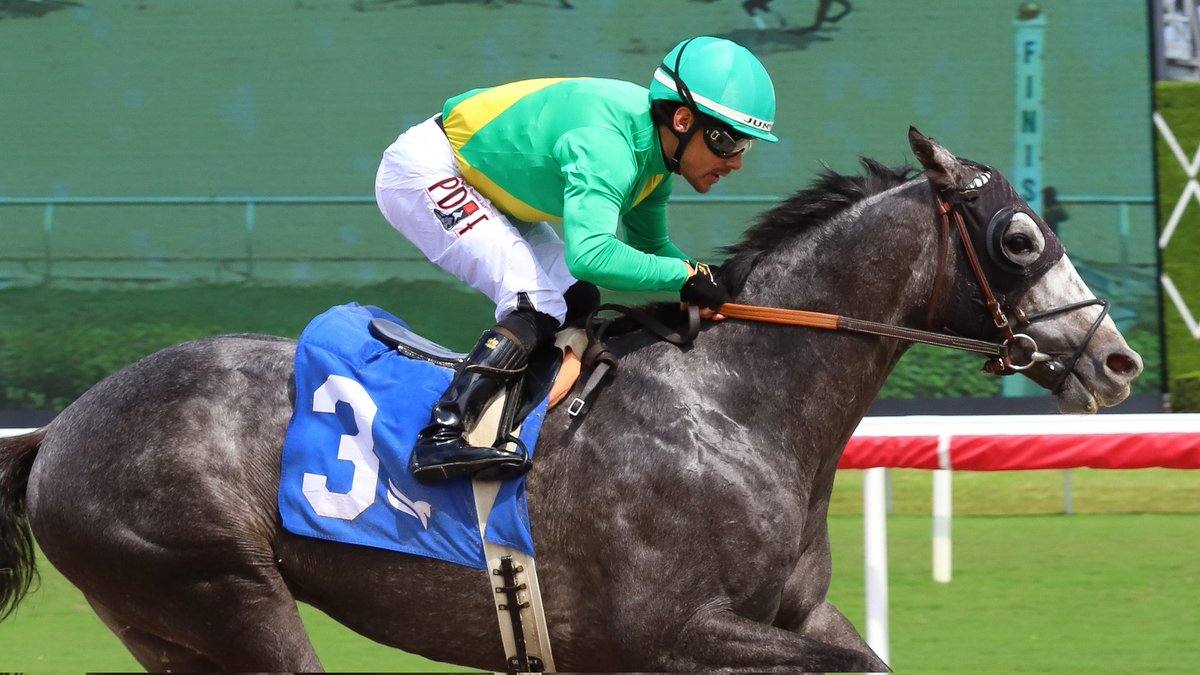 Gulfstream Park tweet media