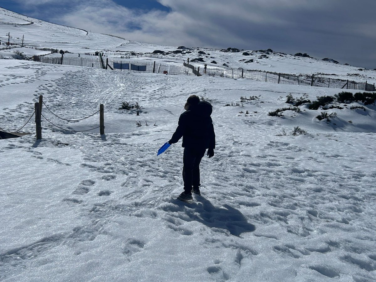 Fermín Cabanillas tweet media