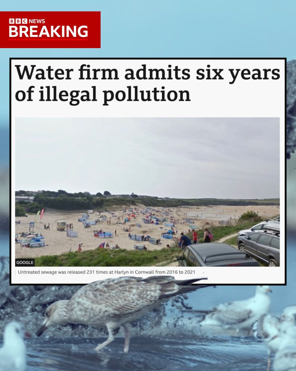 RiverActionUK tweet media