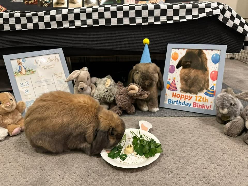 Tranquility Trail tweet media