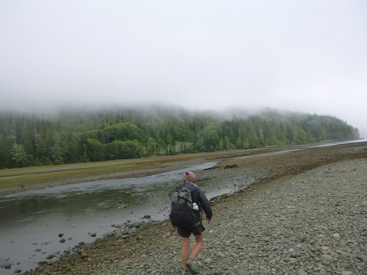 sedgeland empire tweet media