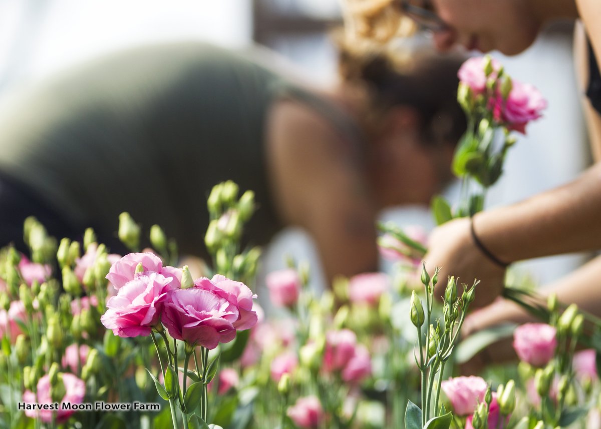 Purdue Extension tweet media