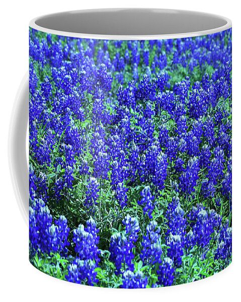 JudyVincent74's tweet image. Field of Blue #coffee mug Available in 2 sizes #caffeine #espresso #HotTea #HotChocolate #CupOfJoe #CoffeeLovers #bluebonnets Also available as #wallart and on other products #giftideas #BuyIntoArt #JudyVincentPhotography 
See all products here ---&amp;gt; buff.ly/dVwZv3b
