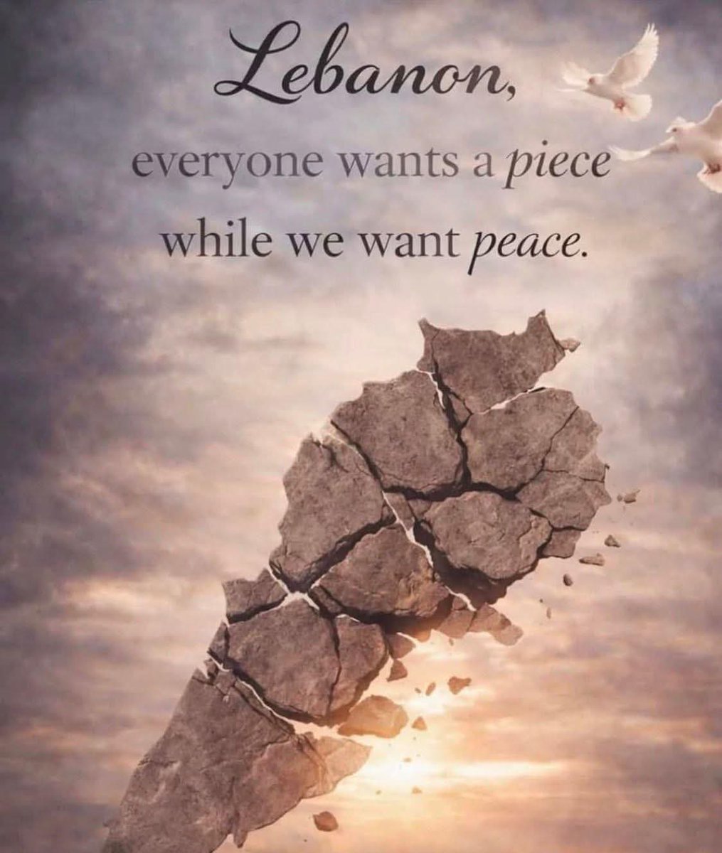 Imad Salamoun tweet media