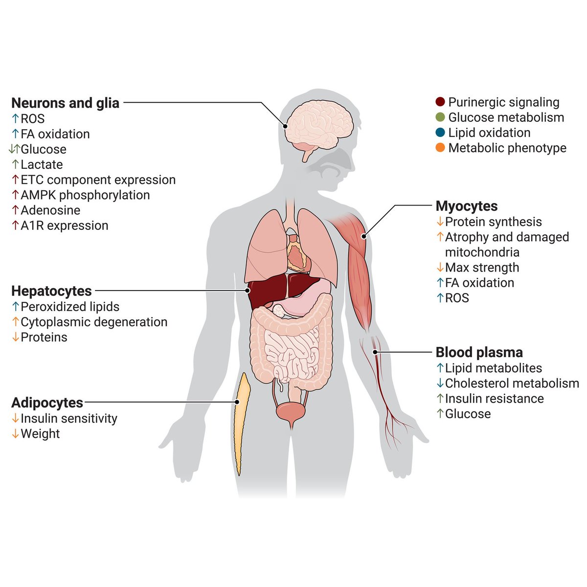 Science Magazine tweet media